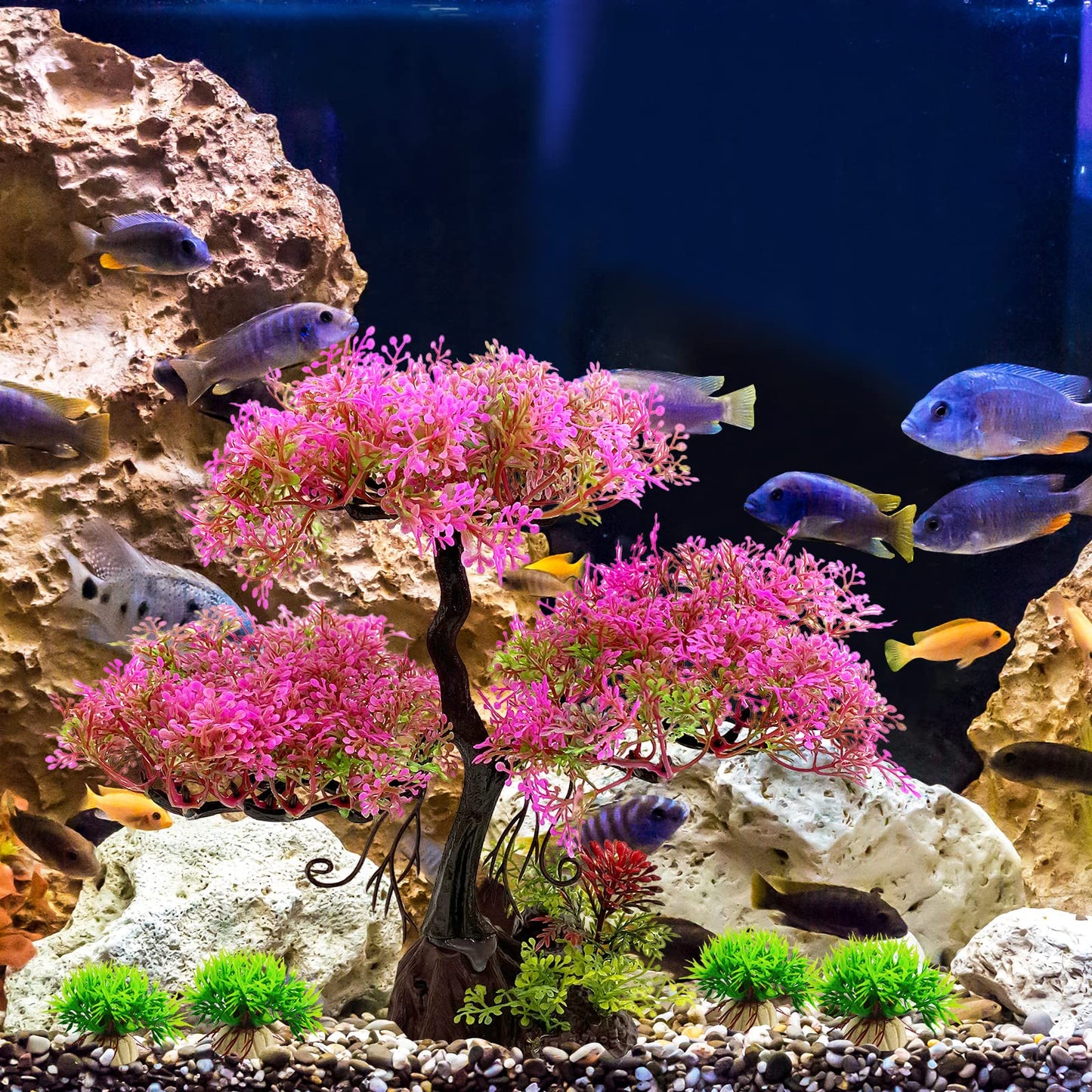 Your one-stop shop for diverse, top-quality aquarium supplies and accessories
