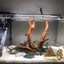 Your one-stop shop for diverse, top-quality aquarium supplies and accessories