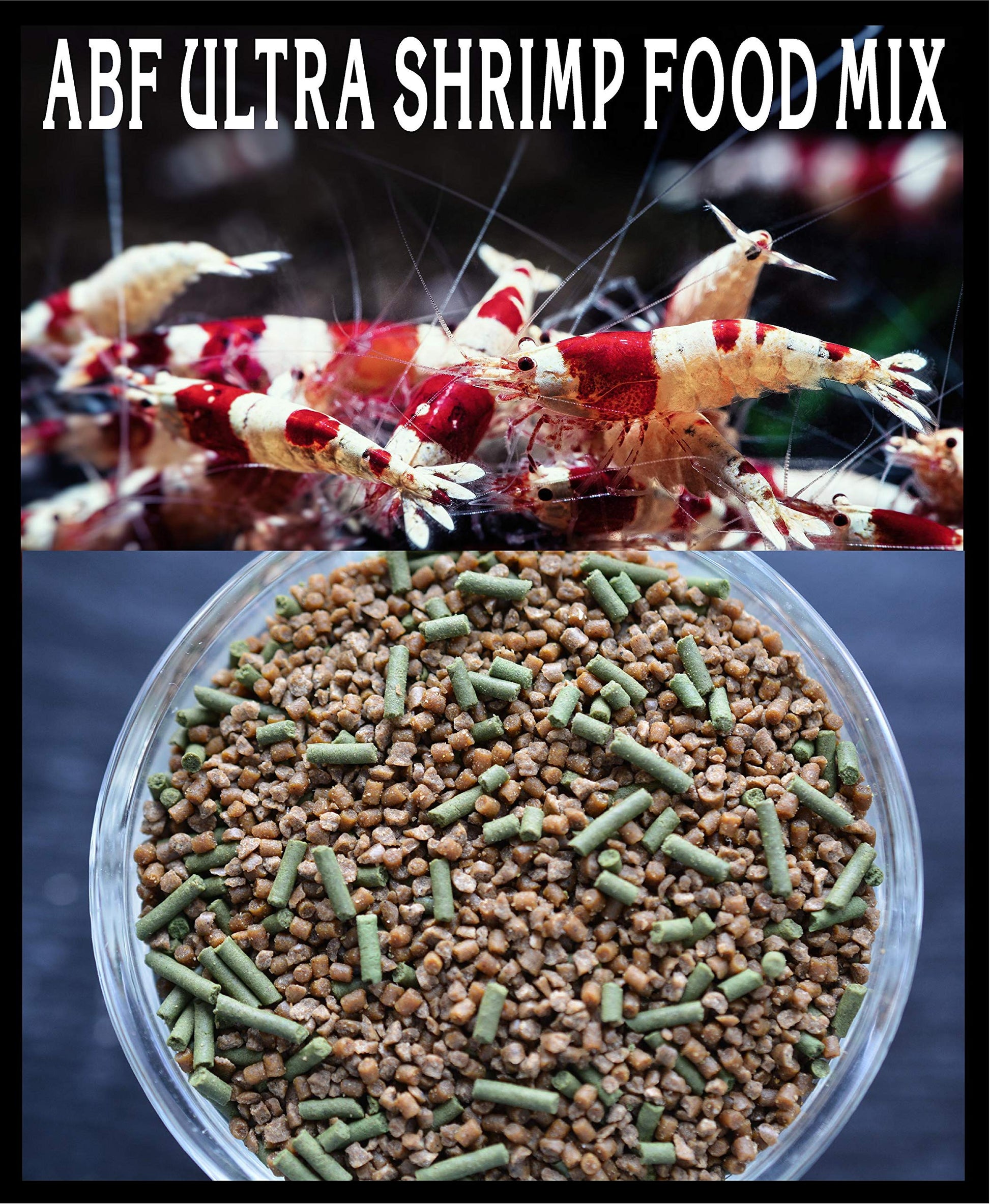 Your one-stop shop for diverse, top-quality aquarium supplies and accessories