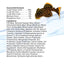 Your one-stop shop for diverse, top-quality aquarium supplies and accessories