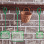 Your one-stop shop for diverse, top-quality aquarium supplies and accessories