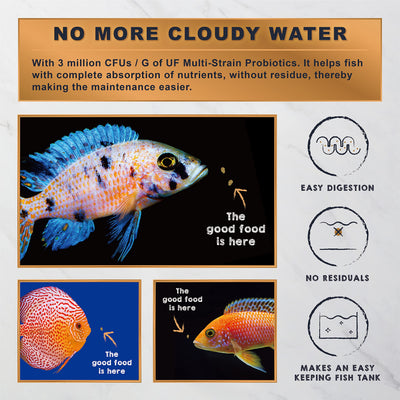 Your one-stop shop for diverse, top-quality aquarium supplies and accessories