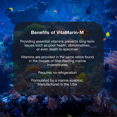 Your one-stop shop for diverse, top-quality aquarium supplies and accessories