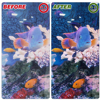 Your one-stop shop for diverse, top-quality aquarium supplies and accessories