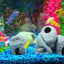 Your one-stop shop for diverse, top-quality aquarium supplies and accessories