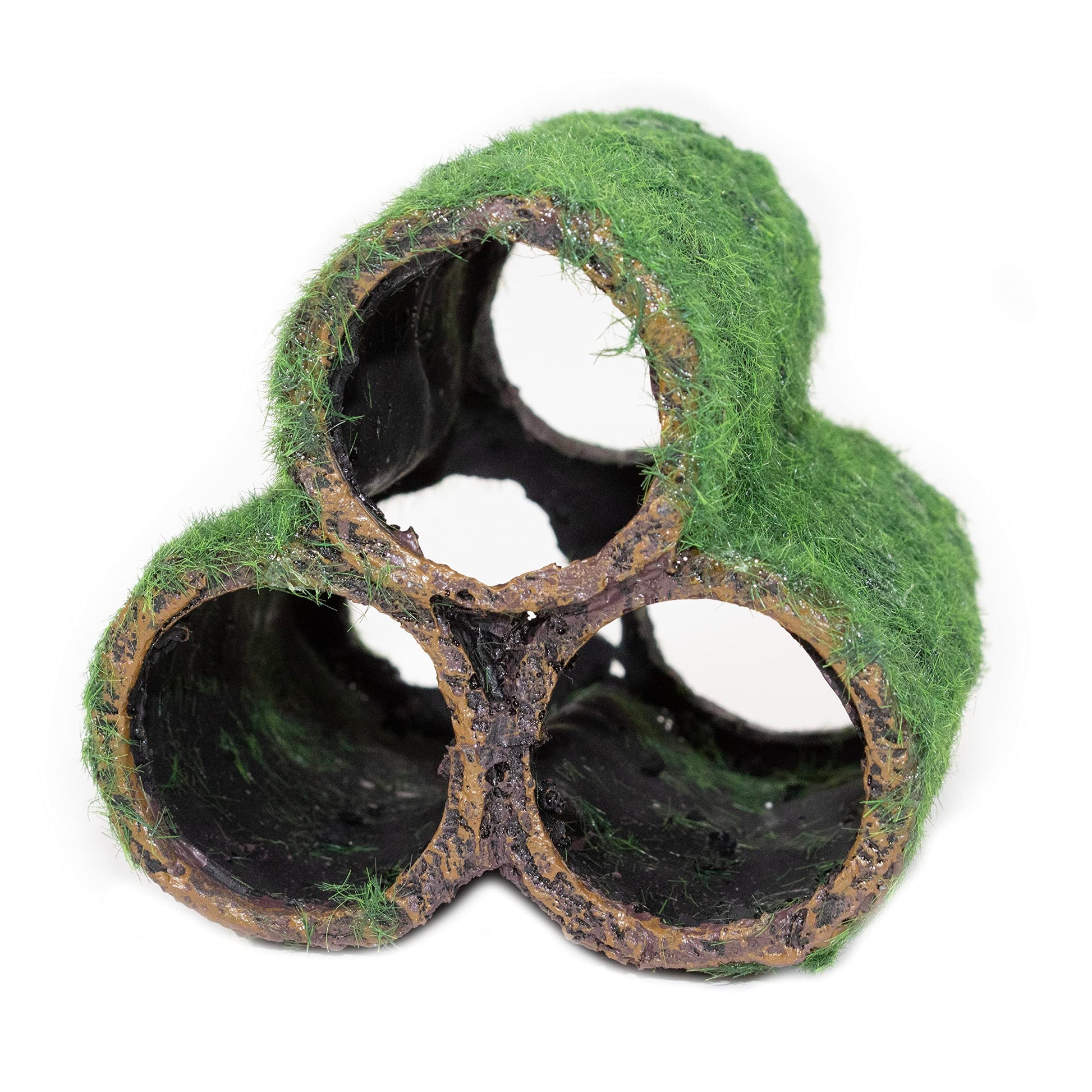 Your one-stop shop for diverse, top-quality aquarium supplies and accessories