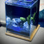 Your one-stop shop for diverse, top-quality aquarium supplies and accessories