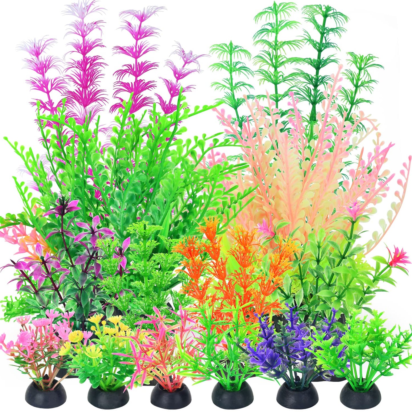 Your one-stop shop for diverse, top-quality aquarium supplies and accessories