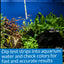 Your one-stop shop for diverse, top-quality aquarium supplies and accessories