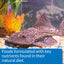 Your one-stop shop for diverse, top-quality aquarium supplies and accessories