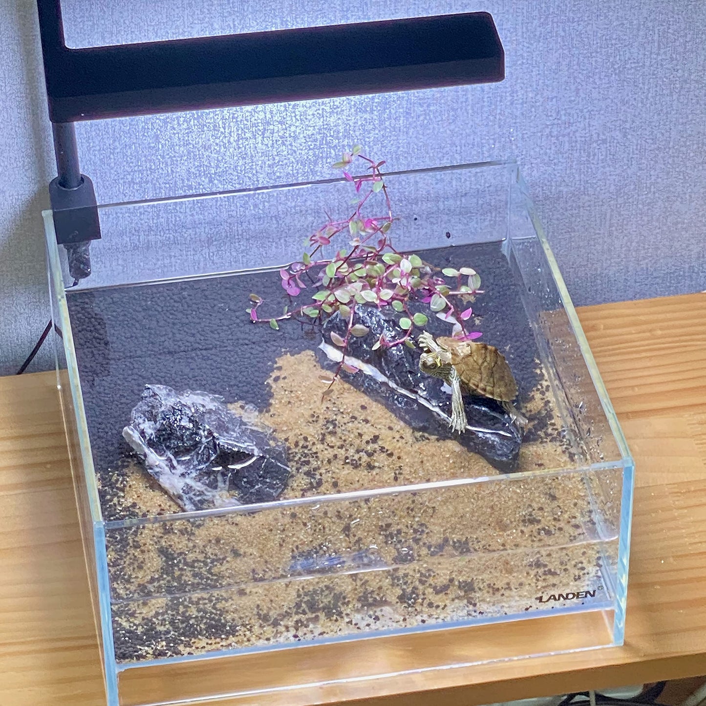 Your one-stop shop for diverse, top-quality aquarium supplies and accessories