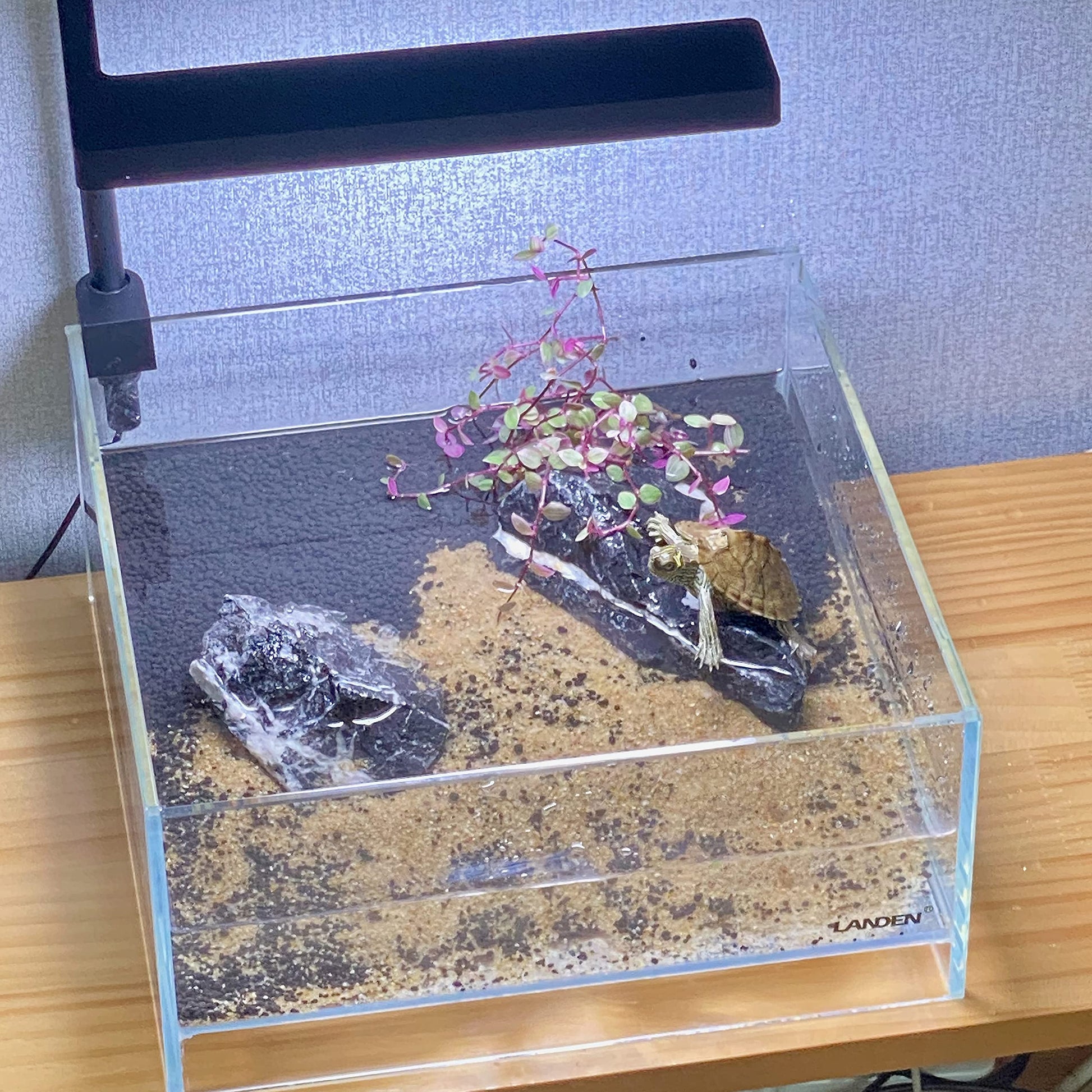 Your one-stop shop for diverse, top-quality aquarium supplies and accessories