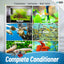 Your one-stop shop for diverse, top-quality aquarium supplies and accessories