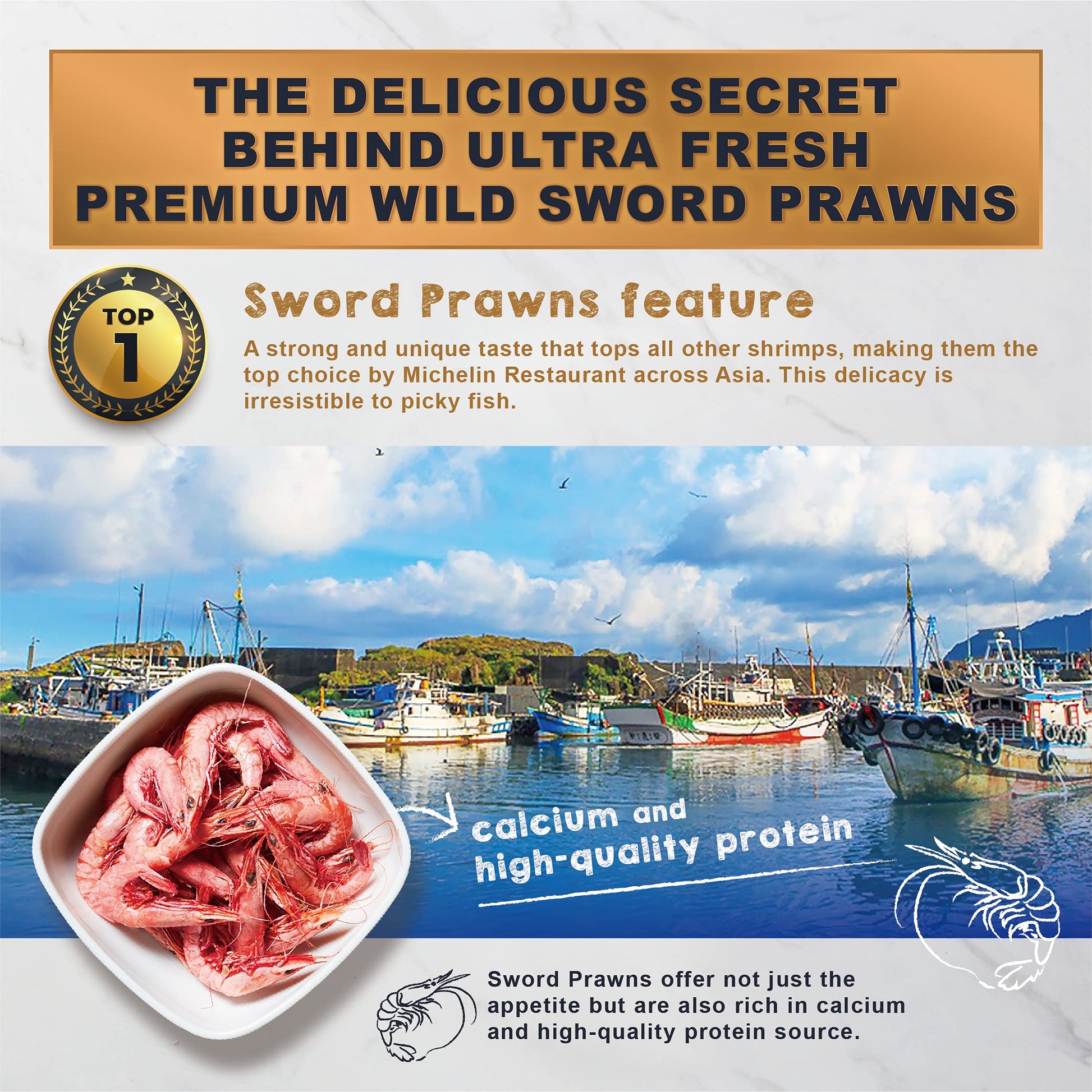 Your one-stop shop for diverse, top-quality aquarium supplies and accessories