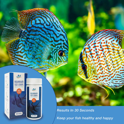 Your one-stop shop for diverse, top-quality aquarium supplies and accessories