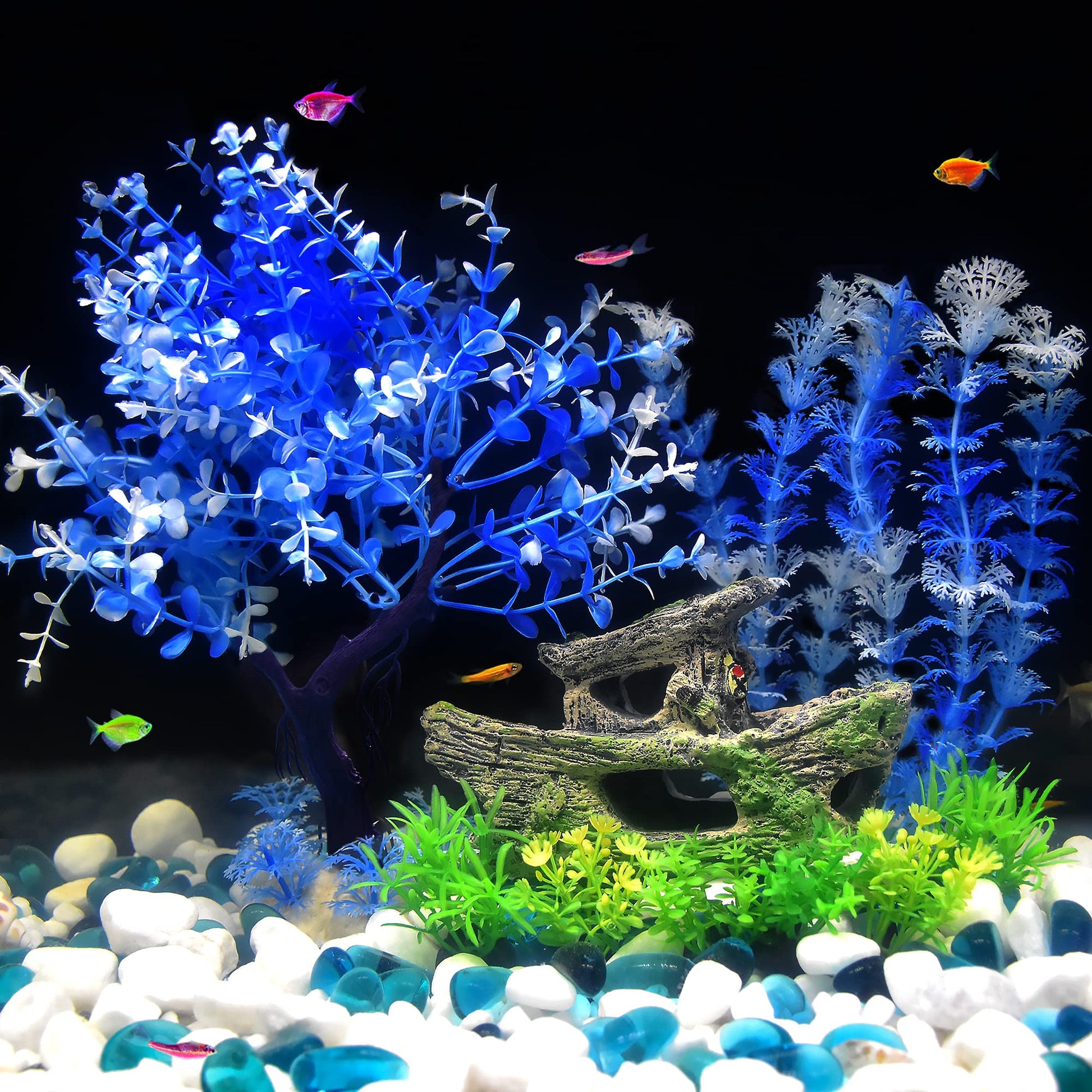 Your one-stop shop for diverse, top-quality aquarium supplies and accessories
