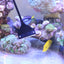 Your one-stop shop for diverse, top-quality aquarium supplies and accessories