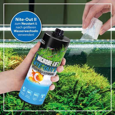 Your one-stop shop for diverse, top-quality aquarium supplies and accessories