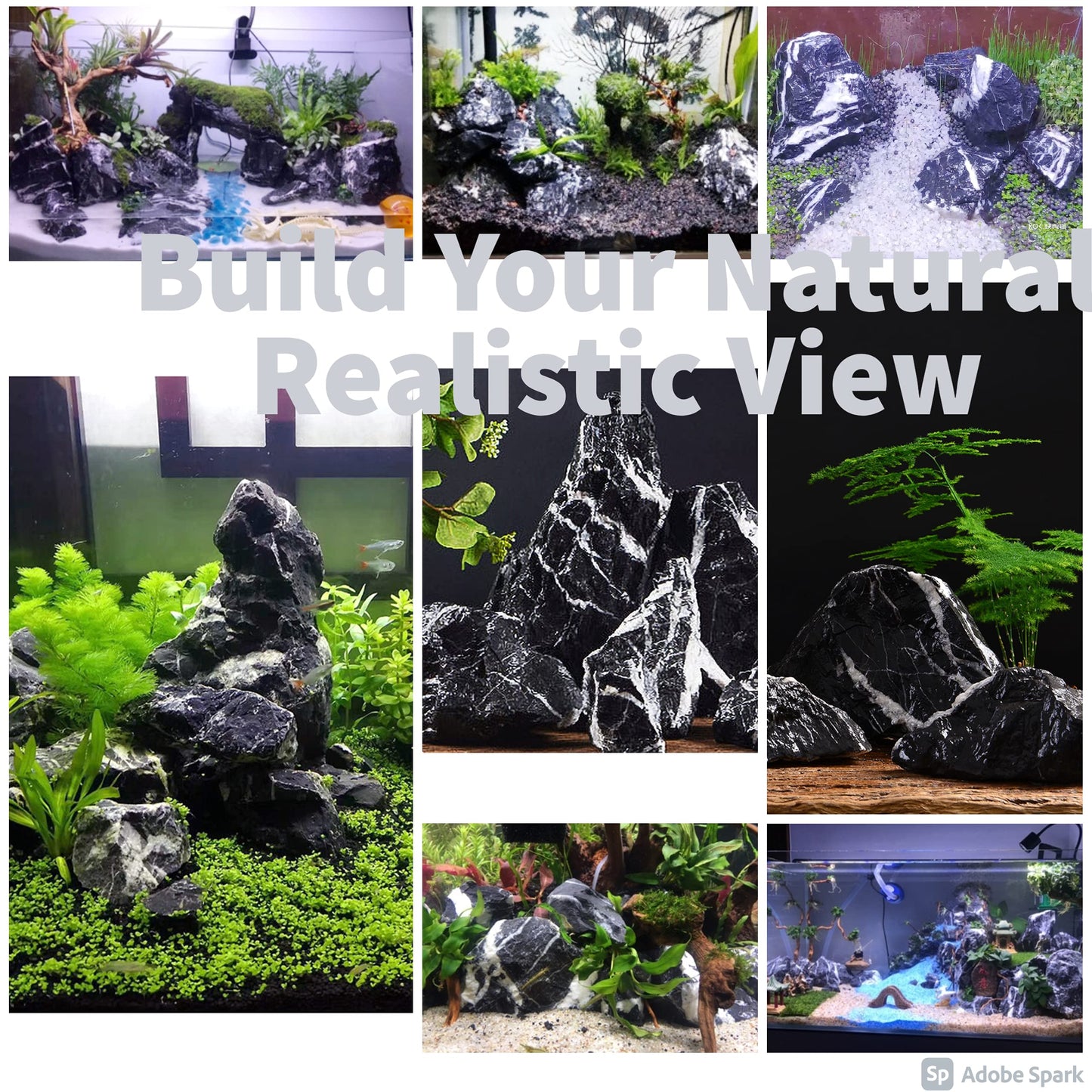 Your one-stop shop for diverse, top-quality aquarium supplies and accessories