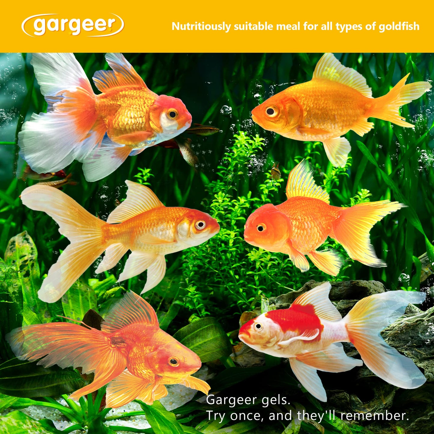 Your one-stop shop for diverse, top-quality aquarium supplies and accessories