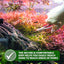 Your one-stop shop for diverse, top-quality aquarium supplies and accessories
