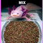 Your one-stop shop for diverse, top-quality aquarium supplies and accessories