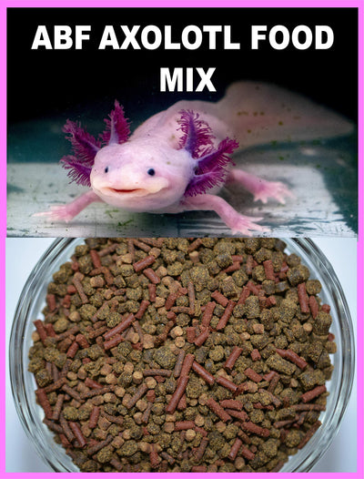 Your one-stop shop for diverse, top-quality aquarium supplies and accessories