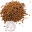Your one-stop shop for diverse, top-quality aquarium supplies and accessories