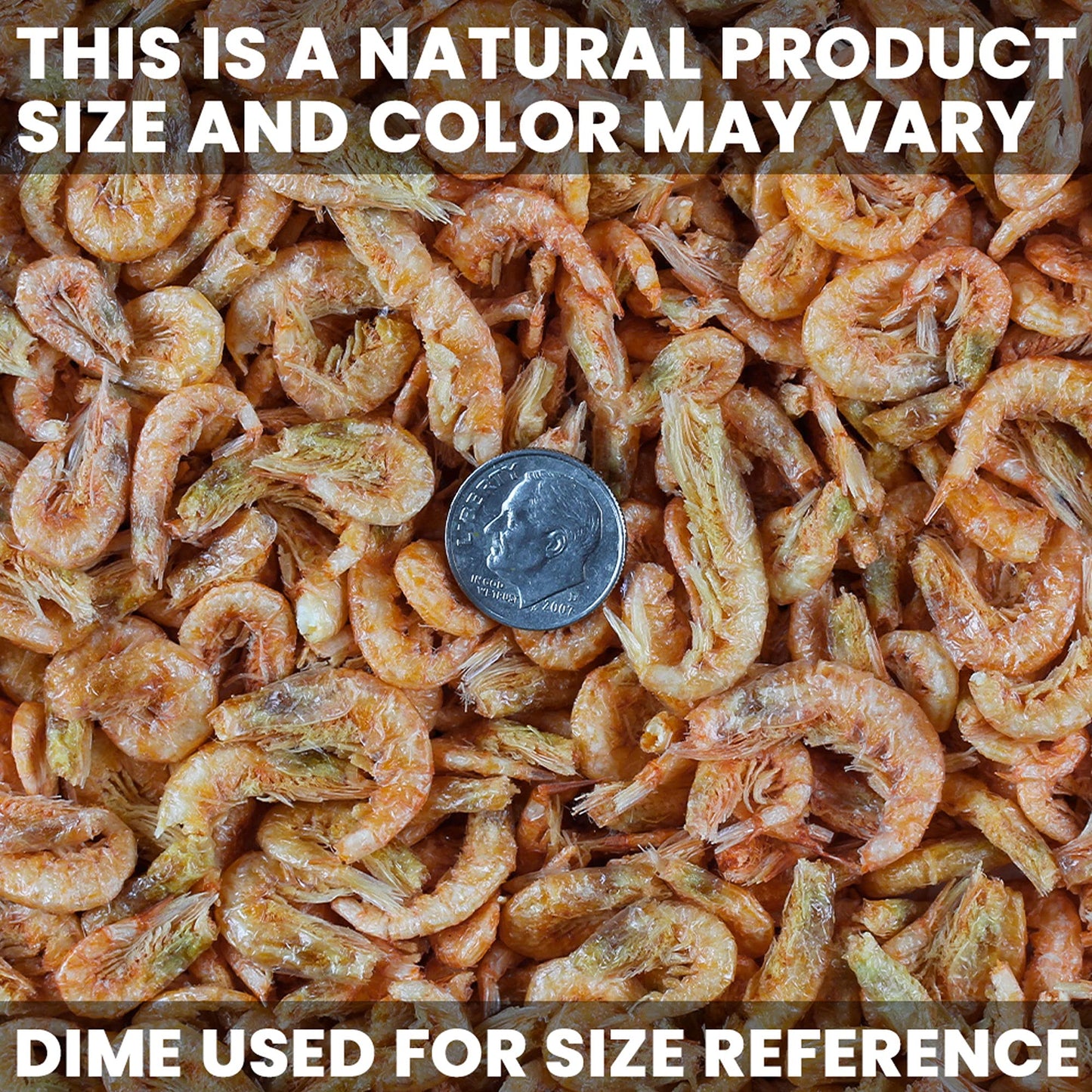 Your one-stop shop for diverse, top-quality aquarium supplies and accessories