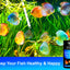 Your one-stop shop for diverse, top-quality aquarium supplies and accessories
