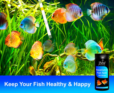 Your one-stop shop for diverse, top-quality aquarium supplies and accessories