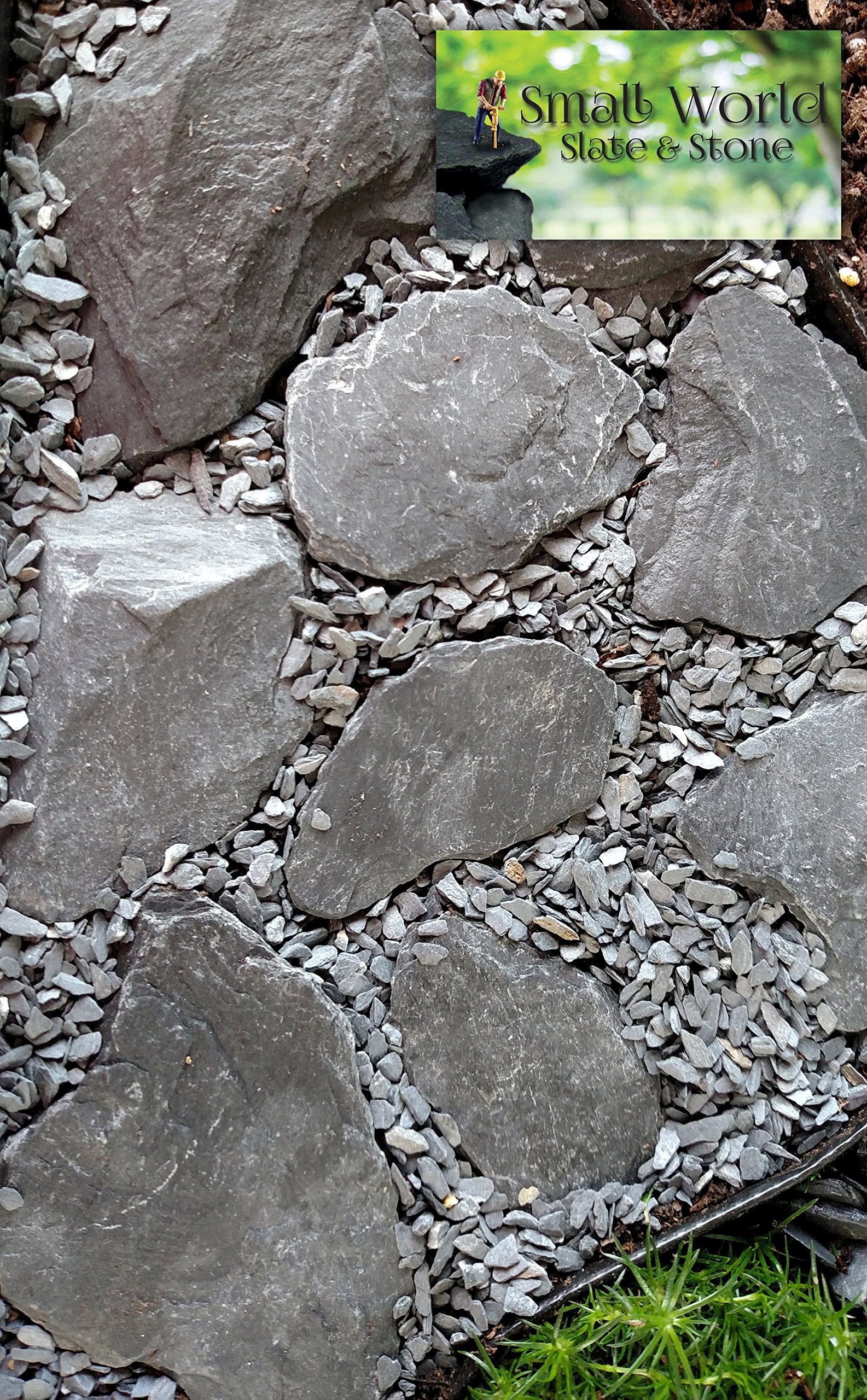 Your one-stop shop for diverse, top-quality aquarium supplies and accessories