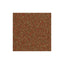 Your one-stop shop for diverse, top-quality aquarium supplies and accessories
